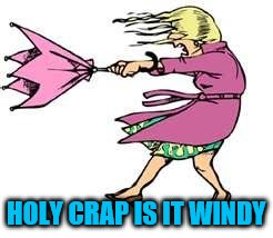 windy day | HOLY CRAP IS IT WINDY | image tagged in windy day | made w/ Imgflip meme maker
