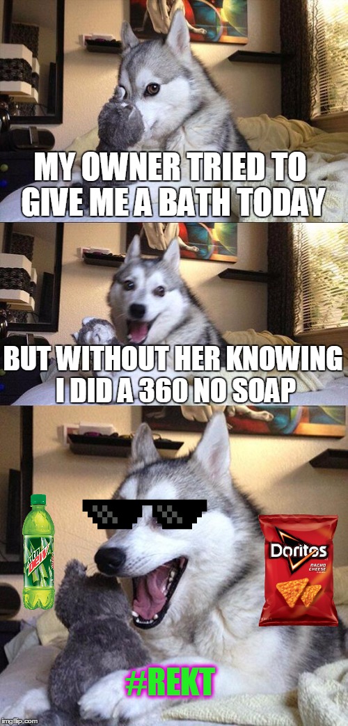 Bad Pun Dog | MY OWNER TRIED TO GIVE ME A BATH TODAY; BUT WITHOUT HER KNOWING I DID A 360 NO SOAP; #REKT | image tagged in memes,bad pun dog | made w/ Imgflip meme maker
