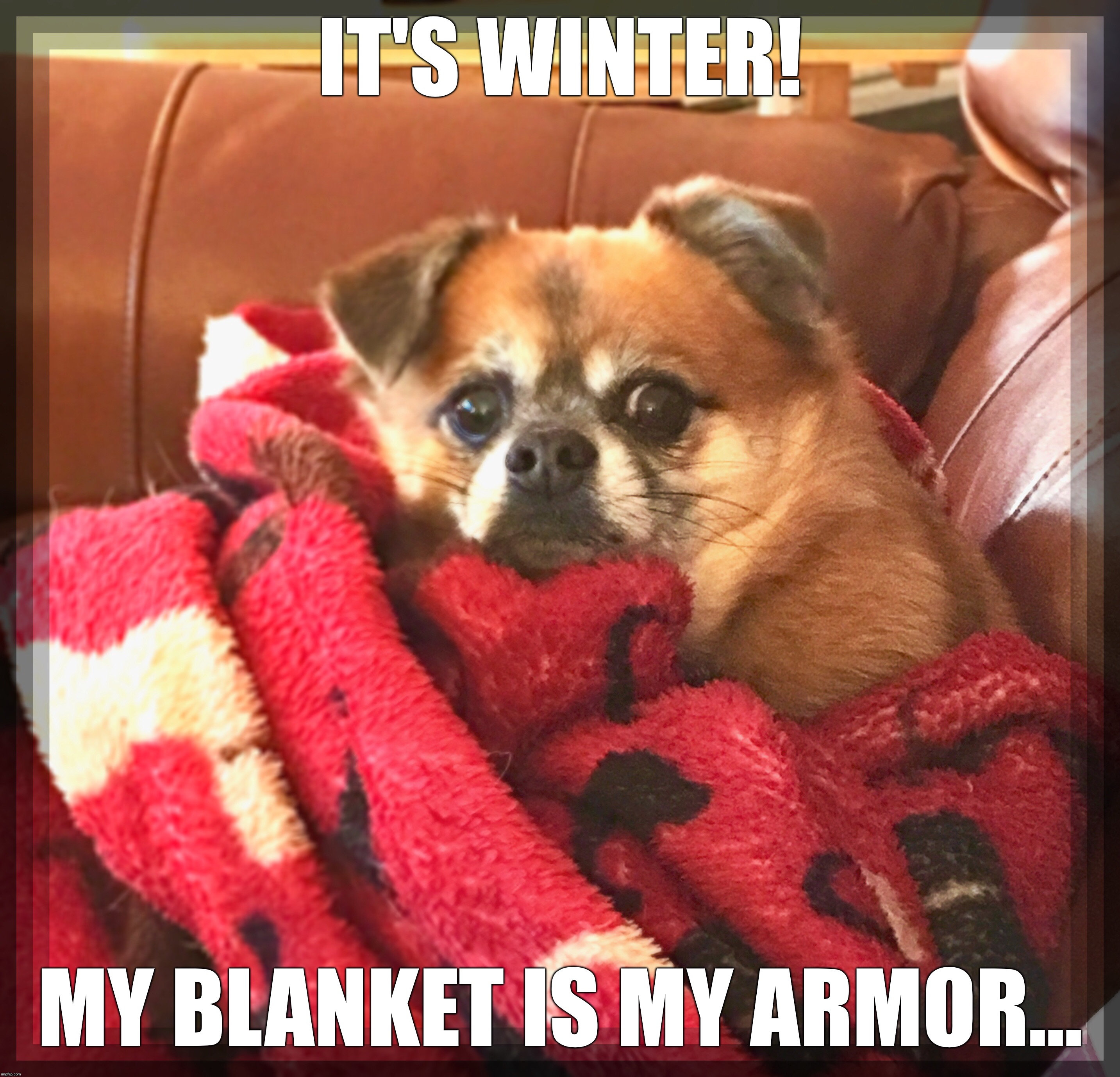 Winter | IT'S WINTER! MY BLANKET IS MY ARMOR... | image tagged in amos | made w/ Imgflip meme maker