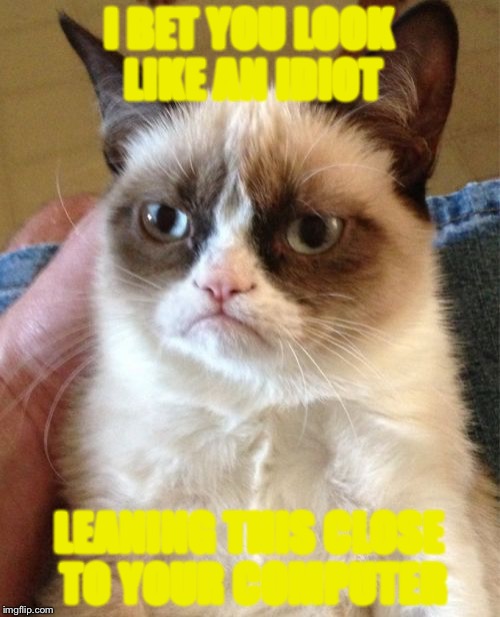I bet you do! | I BET YOU LOOK LIKE AN IDIOT; LEANING THIS CLOSE TO YOUR COMPUTER | image tagged in memes,grumpy cat,idiot,i see what you did there | made w/ Imgflip meme maker