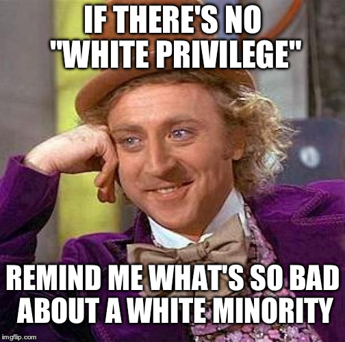 Creepy Condescending Wonka | IF THERE'S NO "WHITE PRIVILEGE"; REMIND ME WHAT'S SO BAD ABOUT A WHITE MINORITY | image tagged in memes,creepy condescending wonka | made w/ Imgflip meme maker