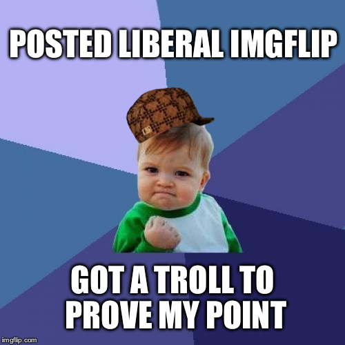 Success Kid | POSTED LIBERAL IMGFLIP; GOT A TROLL TO PROVE MY POINT | image tagged in memes,success kid,scumbag | made w/ Imgflip meme maker