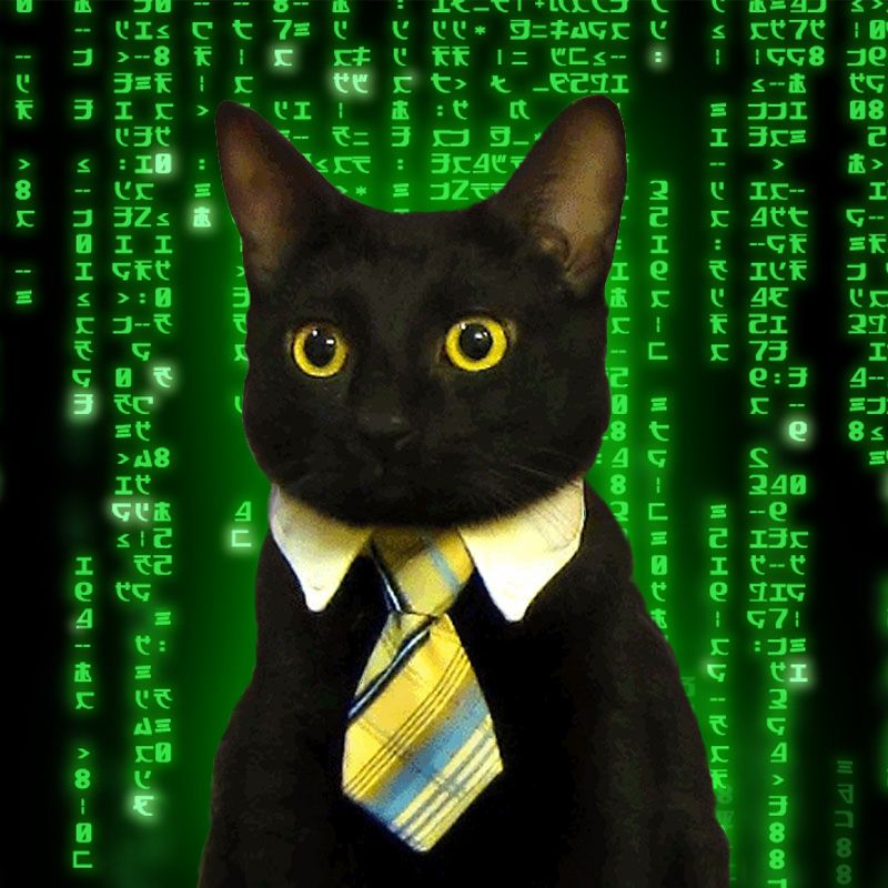 High Quality Business Cat Matrix Blank Meme Template