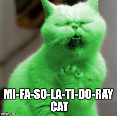 Opera RayCat | MI-FA-SO-LA-TI-DO-RAY CAT | image tagged in opera raycat | made w/ Imgflip meme maker
