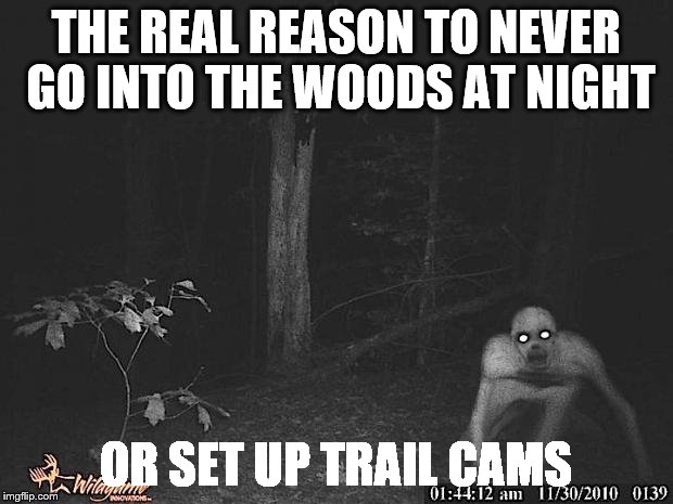 The Rake  | THE REAL REASON TO NEVER GO INTO THE WOODS AT NIGHT; OR SET UP TRAIL CAMS | image tagged in the rake | made w/ Imgflip meme maker