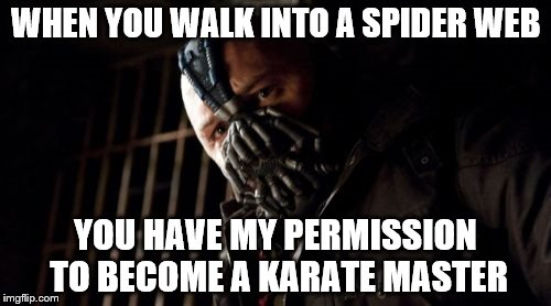 Permission Bane Meme | WHEN YOU WALK INTO A SPIDER WEB; YOU HAVE MY PERMISSION TO BECOME A KARATE MASTER | image tagged in memes,permission bane | made w/ Imgflip meme maker
