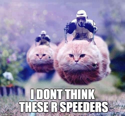 Storm Trooper Cats | I DONT THINK THESE R SPEEDERS | image tagged in storm trooper cats | made w/ Imgflip meme maker