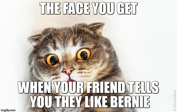 The face you get when your friend tells you they like Bernie |  THE FACE YOU GET; WHEN YOUR FRIEND TELLS YOU THEY LIKE BERNIE | image tagged in horrified cat,bernie sanders | made w/ Imgflip meme maker