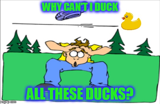 WHY CAN'T I DUCK ALL THESE DUCKS? | made w/ Imgflip meme maker