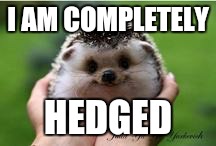 I AM COMPLETELY HEDGED | made w/ Imgflip meme maker