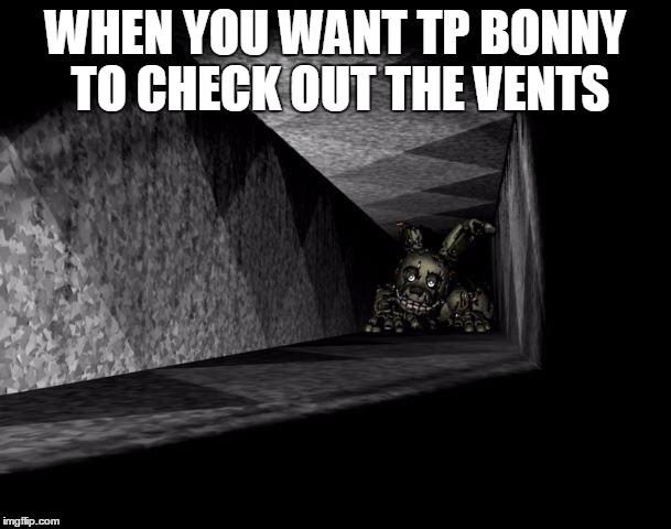 FnAF 3 | WHEN YOU WANT TP BONNY TO CHECK OUT THE VENTS | image tagged in fnaf 3 | made w/ Imgflip meme maker