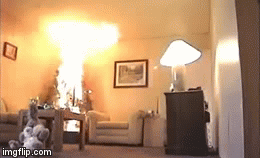 BURN FOREVA!!! | image tagged in gifs,funny,fire | made w/ Imgflip video-to-gif maker