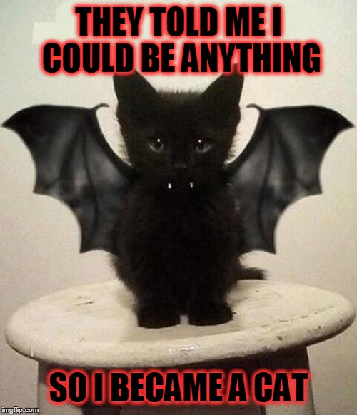 bat cat | THEY TOLD ME I COULD BE ANYTHING; SO I BECAME A CAT | image tagged in bat cat | made w/ Imgflip meme maker