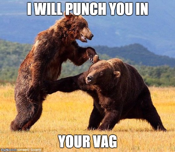 Punching Bear | I WILL PUNCH YOU IN; YOUR VAG | image tagged in punching bear | made w/ Imgflip meme maker