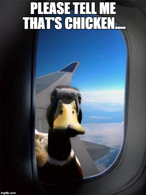 Airplane Duck |  PLEASE TELL ME THAT'S CHICKEN.... | image tagged in airplane duck | made w/ Imgflip meme maker