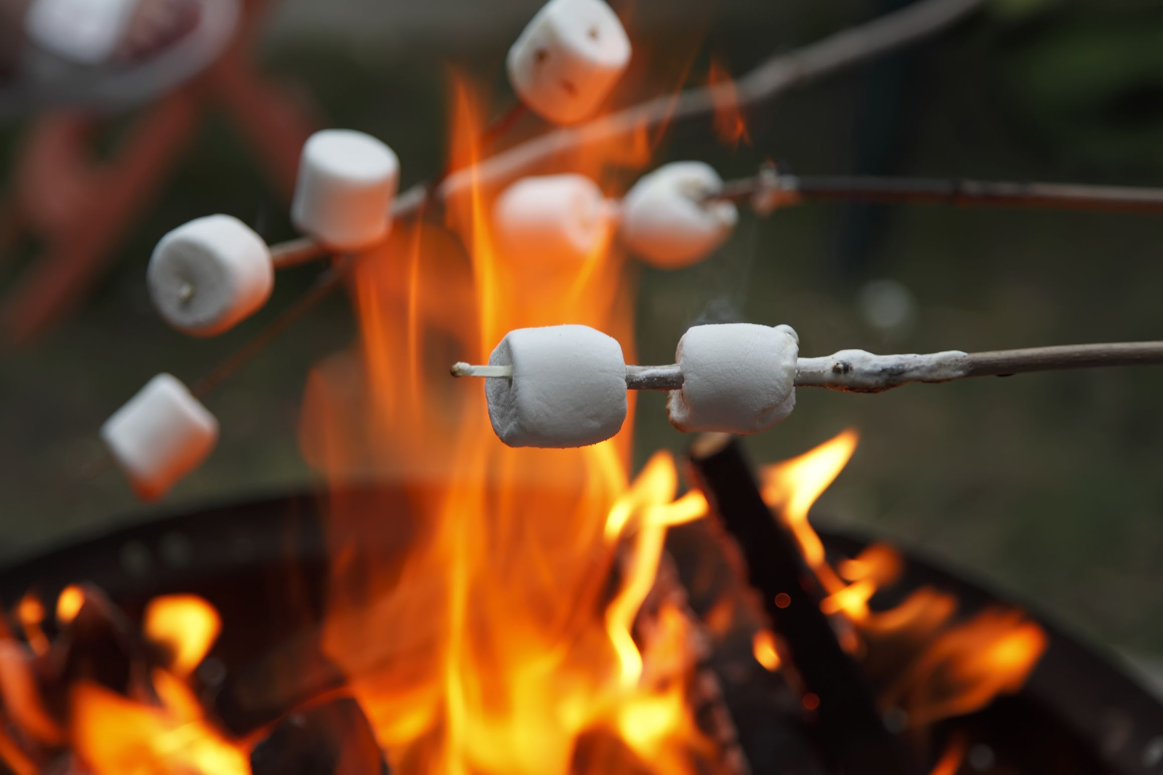 Roasting marshmellows Blank Meme Template