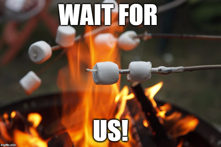 Roasting marshmellows | WAIT FOR US! | image tagged in roasting marshmellows | made w/ Imgflip meme maker