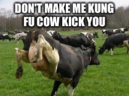 DON'T MAKE ME KUNG FU COW KICK YOU | made w/ Imgflip meme maker