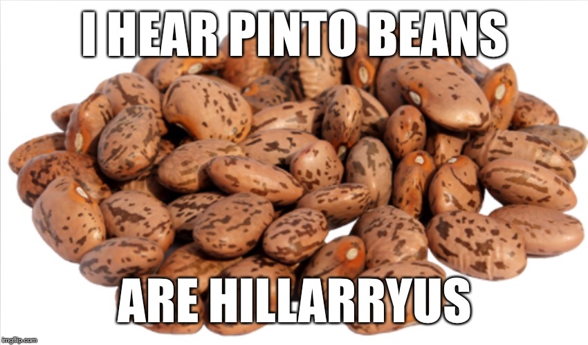 I HEAR PINTO BEANS ARE HILLARRYUS | image tagged in pinto beans | made w/ Imgflip meme maker