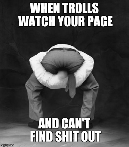 Head Up Ass | WHEN TROLLS WATCH YOUR PAGE; AND CAN'T FIND SHIT OUT | image tagged in head up ass | made w/ Imgflip meme maker