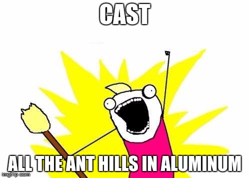 X All The Y Meme | CAST ALL THE ANT HILLS IN ALUMINUM | image tagged in memes,x all the y | made w/ Imgflip meme maker