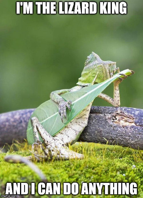 Lizard | I'M THE LIZARD KING; AND I CAN DO ANYTHING | image tagged in memes,lizard | made w/ Imgflip meme maker