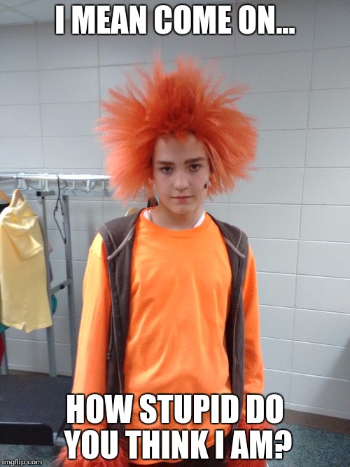 Im not that stupid! | I MEAN COME ON... HOW STUPID DO YOU THINK I AM? | image tagged in funny memes | made w/ Imgflip meme maker