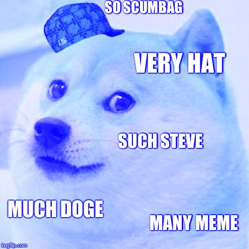 Doge Meme | SO SCUMBAG; VERY HAT; SUCH STEVE; MUCH DOGE; MANY MEME | image tagged in memes,doge,scumbag | made w/ Imgflip meme maker