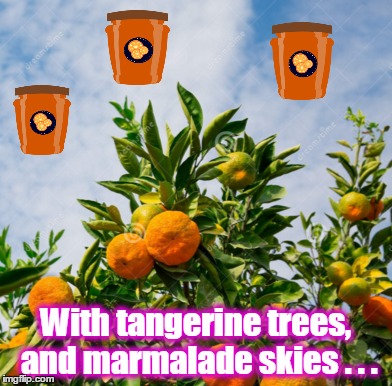 With tangerine trees, and marmalade skies . . . | made w/ Imgflip meme maker