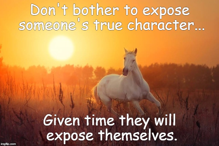 Don't bother to expose someone's true character... Given time they will expose themselves. | image tagged in fake people | made w/ Imgflip meme maker