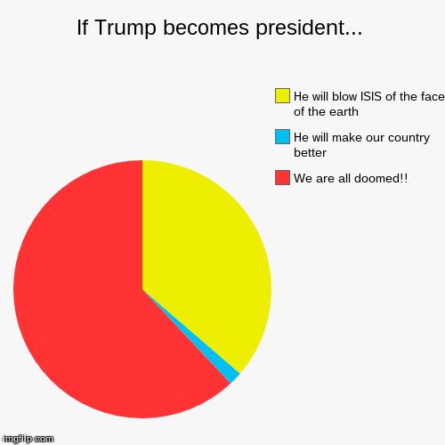 image tagged in funny,pie charts | made w/ Imgflip chart maker