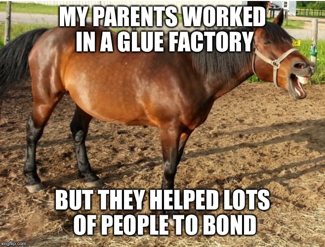 LAUGHING HORSE | MY PARENTS WORKED IN A GLUE FACTORY BUT THEY HELPED LOTS OF PEOPLE TO BOND | image tagged in laughing horse | made w/ Imgflip meme maker