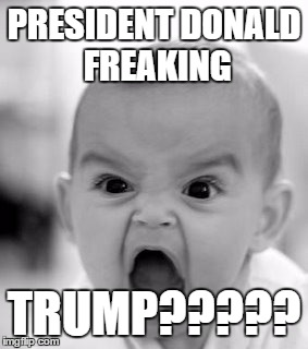 Angry Baby | PRESIDENT DONALD FREAKING; TRUMP????? | image tagged in memes,angry baby | made w/ Imgflip meme maker