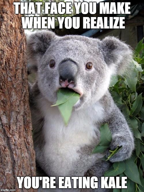 Surprised Koala | THAT FACE YOU MAKE WHEN YOU REALIZE; YOU'RE EATING KALE | image tagged in memes,surprised koala | made w/ Imgflip meme maker