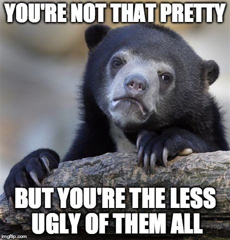 Confession Bear Meme | YOU'RE NOT THAT PRETTY; BUT YOU'RE THE LESS UGLY OF THEM ALL | image tagged in memes,confession bear | made w/ Imgflip meme maker