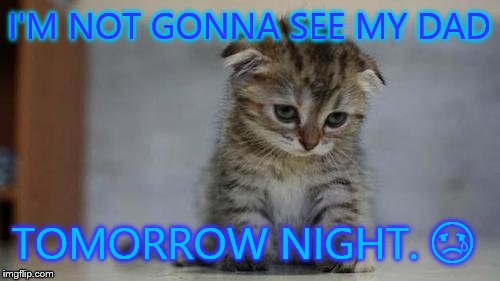 Sad kitten | I'M NOT GONNA SEE MY DAD; TOMORROW NIGHT. 😢 | image tagged in sad kitten | made w/ Imgflip meme maker