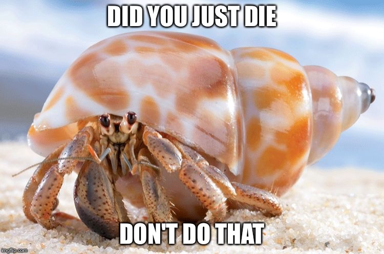 Don't do that | DID YOU JUST DIE; DON'T DO THAT | image tagged in don't do that | made w/ Imgflip meme maker