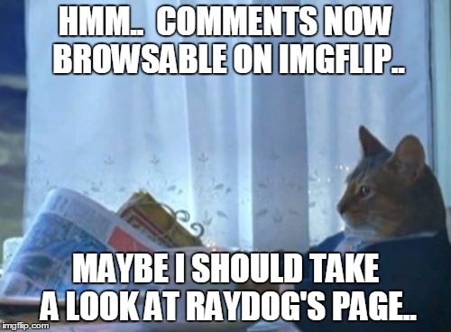 I should browse imgflip comments |  HMM..  COMMENTS NOW BROWSABLE ON IMGFLIP.. MAYBE I SHOULD TAKE A LOOK AT RAYDOG'S PAGE.. | image tagged in memes,i should buy a boat cat,imgflip meme | made w/ Imgflip meme maker