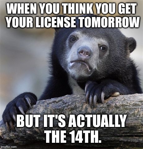 Confession Bear | WHEN YOU THINK YOU GET YOUR LICENSE TOMORROW; BUT IT'S ACTUALLY THE 14TH. | image tagged in memes,confession bear | made w/ Imgflip meme maker