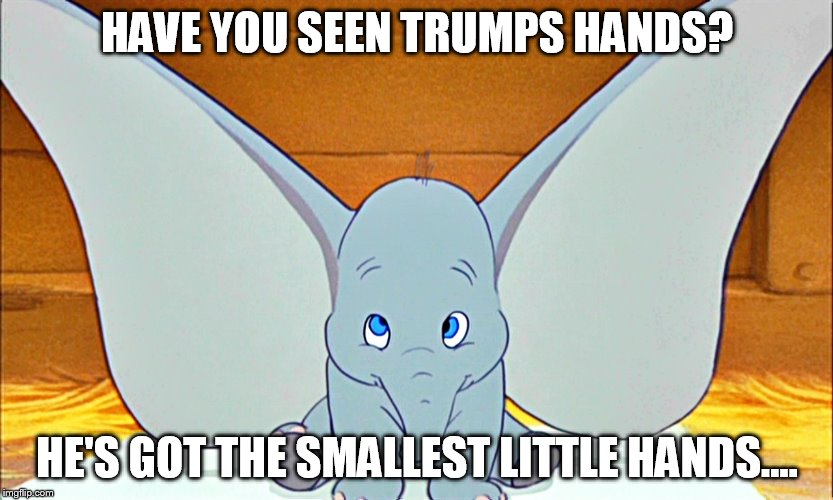 HAVE YOU SEEN TRUMPS HANDS? HE'S GOT THE SMALLEST LITTLE HANDS.... | made w/ Imgflip meme maker