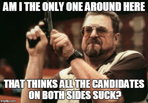 Am I The Only One Around Here Meme | AM I THE ONLY ONE AROUND HERE; THAT THINKS ALL THE CANDIDATES ON BOTH SIDES SUCK? | image tagged in memes,am i the only one around here | made w/ Imgflip meme maker