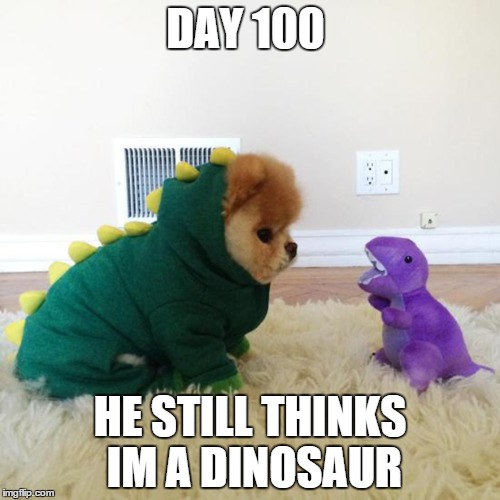 spy puppy`s first and last misson | DAY 100; HE STILL THINKS IM A DINOSAUR | image tagged in memes | made w/ Imgflip meme maker