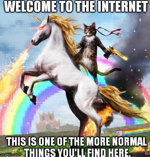Welcome To The Internets Meme | WELCOME TO THE INTERNET; THIS IS ONE OF THE MORE NORMAL THINGS YOU'LL FIND HERE. | image tagged in memes,welcome to the internets | made w/ Imgflip meme maker
