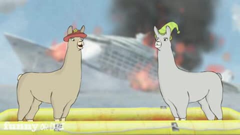 Llamas with hats Blank Meme Template