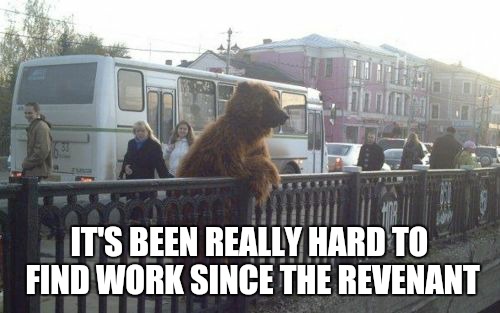 please help in finding jobs for all bears... |  IT'S BEEN REALLY HARD TO FIND WORK SINCE THE REVENANT | image tagged in city bear,the revenant,bad luck bear,am i the only one around here,how about no bear,leonardo dicaprio laughing | made w/ Imgflip meme maker