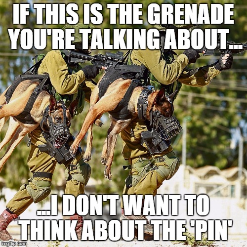 Holstered attack dogs | IF THIS IS THE GRENADE YOU'RE TALKING ABOUT... ...I DON'T WANT TO THINK ABOUT THE 'PIN' | image tagged in holstered attack dogs | made w/ Imgflip meme maker