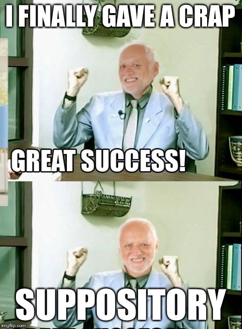 Great Success Harold | I FINALLY GAVE A CRAP SUPPOSITORY | image tagged in great success harold | made w/ Imgflip meme maker