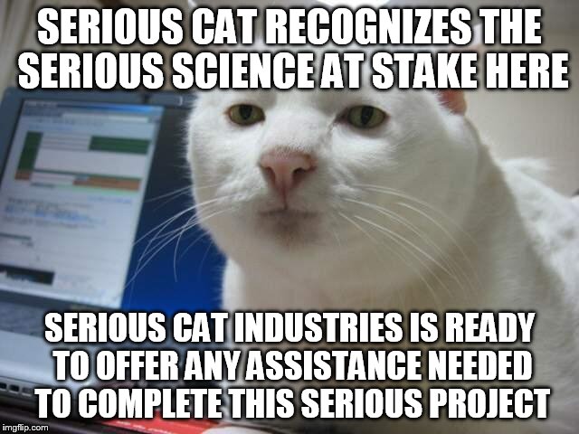 SERIOUS CAT RECOGNIZES THE SERIOUS SCIENCE AT STAKE HERE SERIOUS CAT INDUSTRIES IS READY TO OFFER ANY ASSISTANCE NEEDED TO COMPLETE THIS SER | made w/ Imgflip meme maker