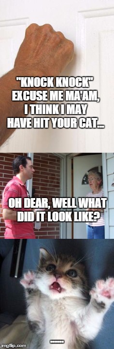 Here kitty kitty kitty | "KNOCK KNOCK" EXCUSE ME MA'AM, I THINK I MAY HAVE HIT YOUR CAT... OH DEAR, WELL WHAT DID IT LOOK LIKE? ...... | image tagged in cats,memes | made w/ Imgflip meme maker