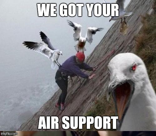 WE GOT YOUR AIR SUPPORT | made w/ Imgflip meme maker